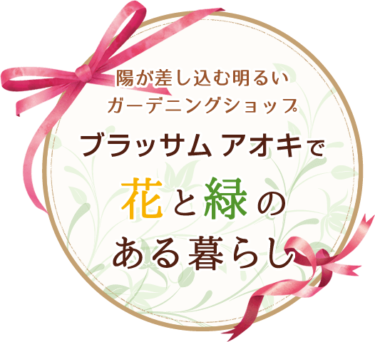 ブラッサム アオキで花と緑のある暮らし